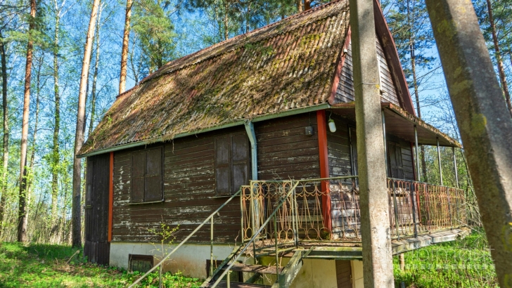 ROKIŠKIO R. SAV., LINGAVOS VS., MEDINĖ SODYBA NR. 20