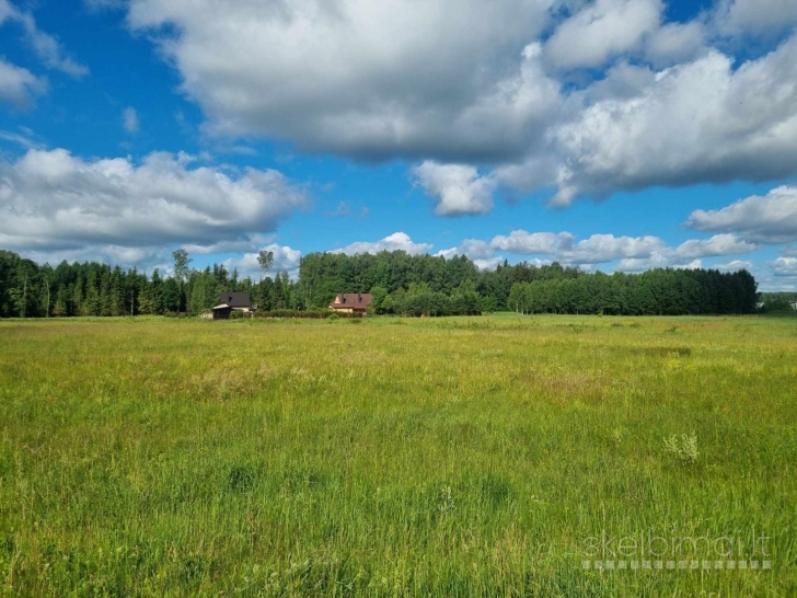 PARDUODAMAS 1,4615 HA ŽEMĖS SKLYPAS REIVYČIŲ K., MAŽEIKIŲ R.