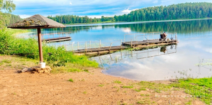 ROKIŠKIO R. SAV., BRADĖSIŲ K. NAMAS NETOLI EŽERO NR. 184