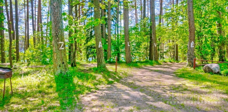 ROKIŠKIO R. SAV., BRADĖSIŲ K. NAMAS NETOLI EŽERO NR. 184