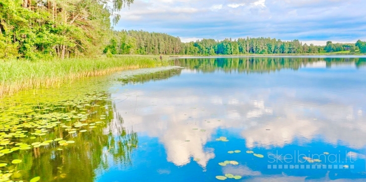 ROKIŠKIO R. SAV., BRADĖSIŲ K. NAMAS NETOLI EŽERO NR. 184