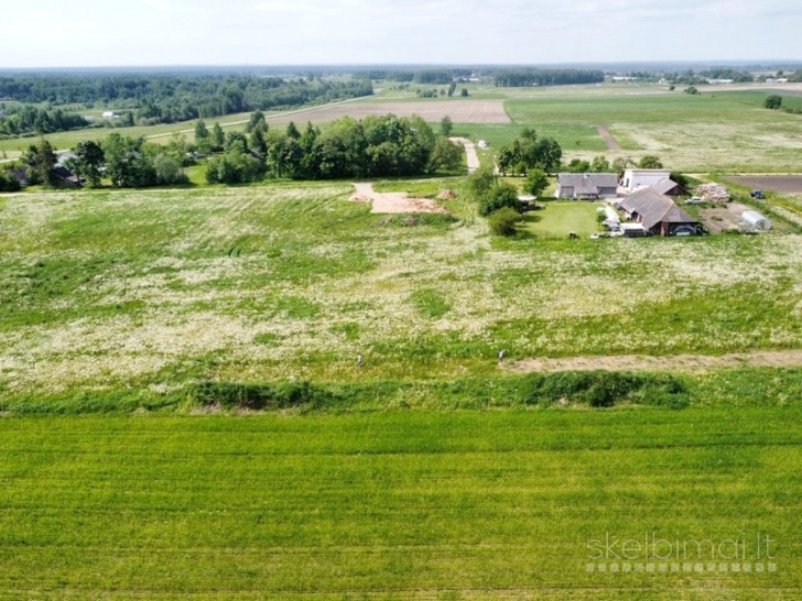 Vilniaus raj., Nemenčinės sen., namų valdos sklypai