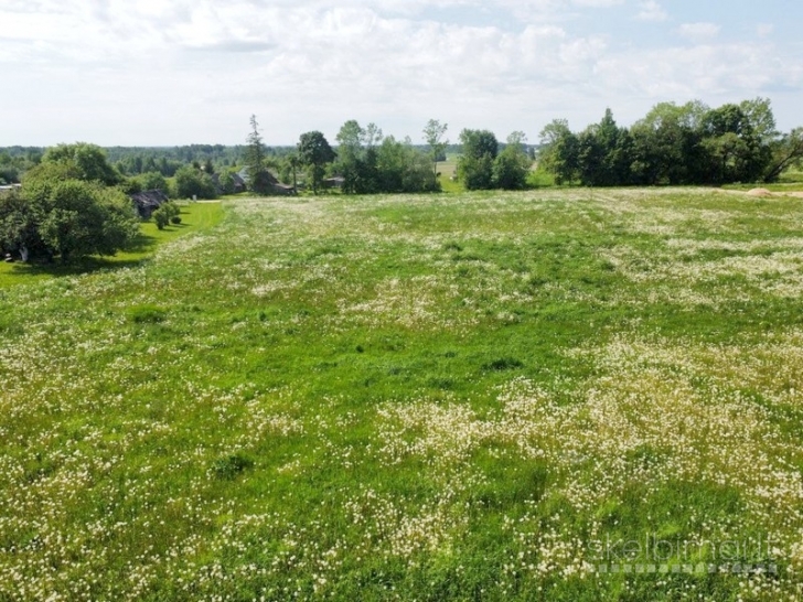 Vilniaus raj., Nemenčinės sen., namų valdos sklypai