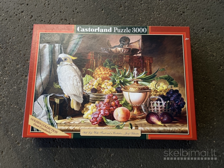 dvi puzzle deliones castorland 1000 ir 3000 daliu