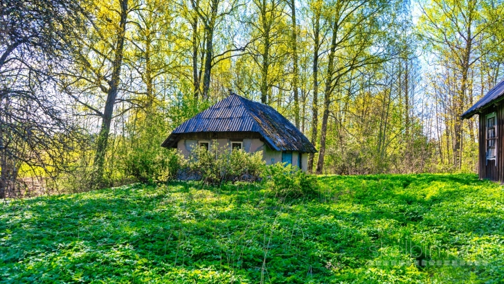 SODYBA ROKIŠKIO RAJ., DEGUČIŲ II K. NR. 383