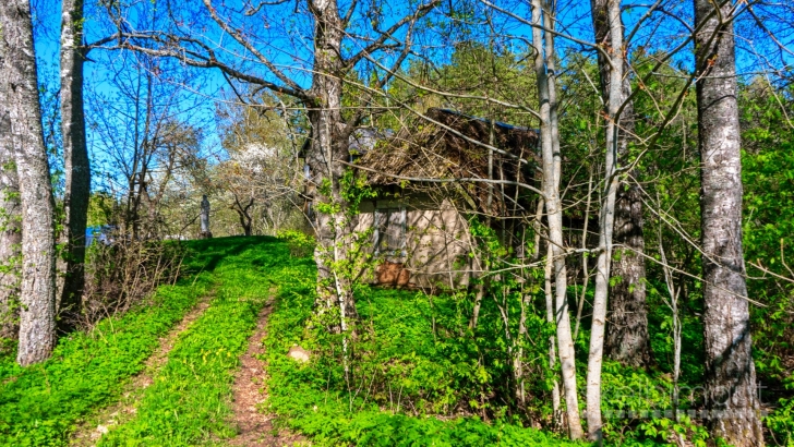 SODYBA ROKIŠKIO RAJ., DEGUČIŲ II K. NR. 383