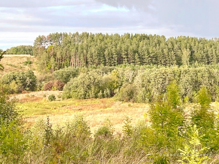 VIENKIEMIS PRIE UPĖS SUBAČIUS., SKVERBŲ K. NR. 510