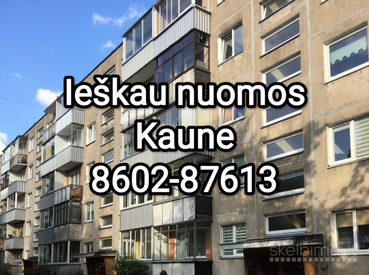 Ieškau nuomos Kaune 8602-87613 Išsinuomoti 1-3 kambario butą kaune