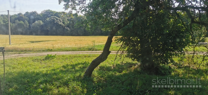 Butas Papalčių k., Panevėžio r.sav.,Krekenavos sen.