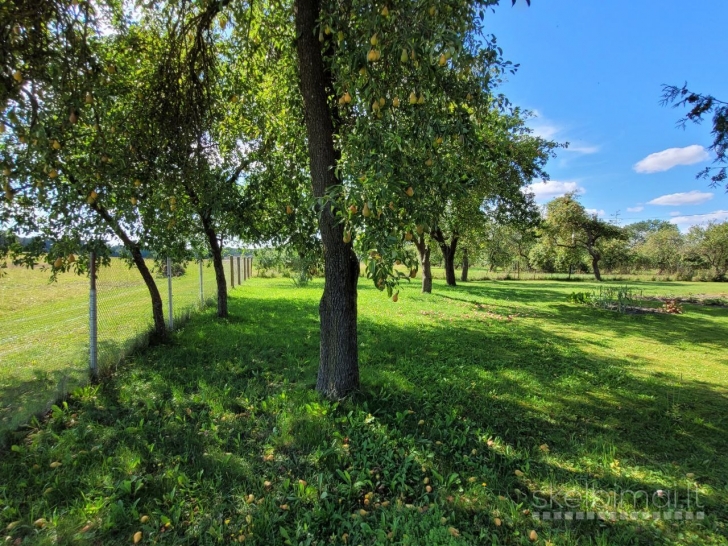 Parduodama sodyba Šakių rajone