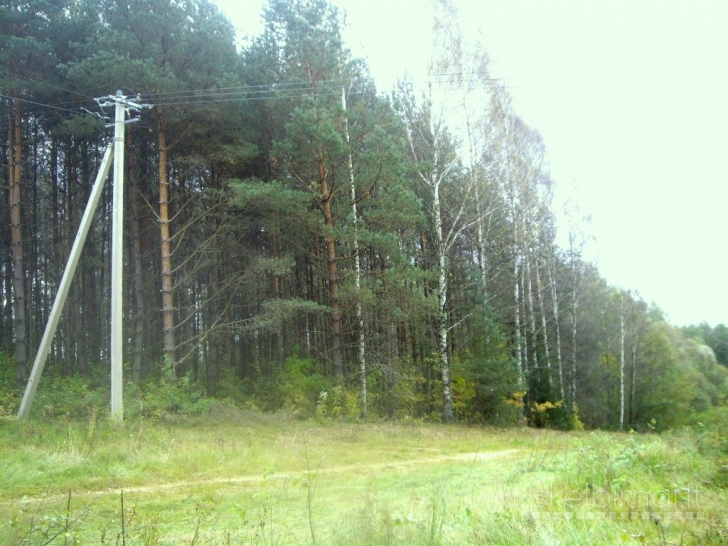 Kartu parduodami du sklypai, bendras plotas 1,43 ha