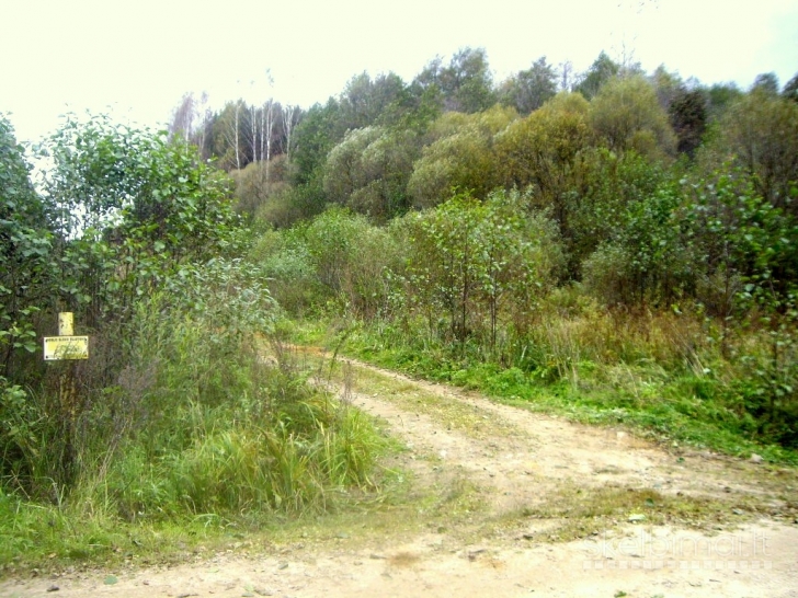 Kartu parduodami du sklypai, bendras plotas 1,43 ha