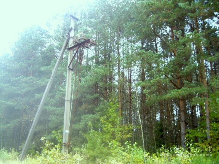 Kartu parduodami du sklypai, bendras plotas 1,43 ha