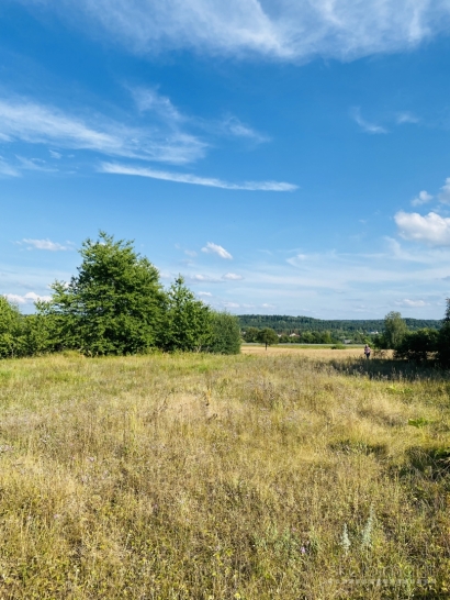 32 arai žemės ūkio paskirties Kauno rajone, Drąseikiu kaime