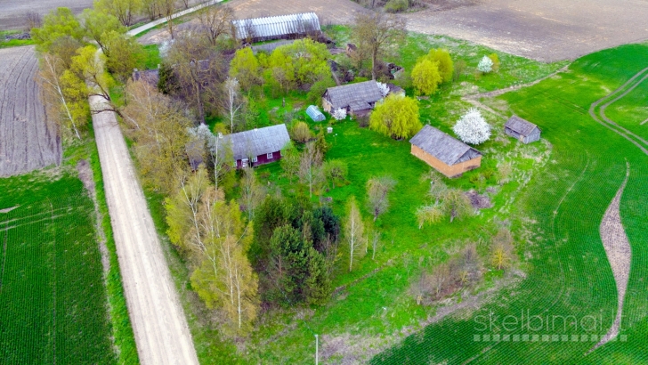 20 km nuo Panevėžio 700 m. nuo upės netoli Pušaloto, sodyba Nr. 819