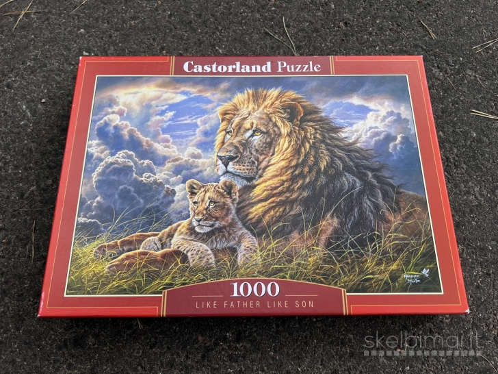 dvi puzzle deliones castorland 1000 ir 3000 daliu