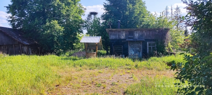 KUPIŠKIO R. SAV., BAJORŲ K., RĄSTINĖ SODYBA NR. 201