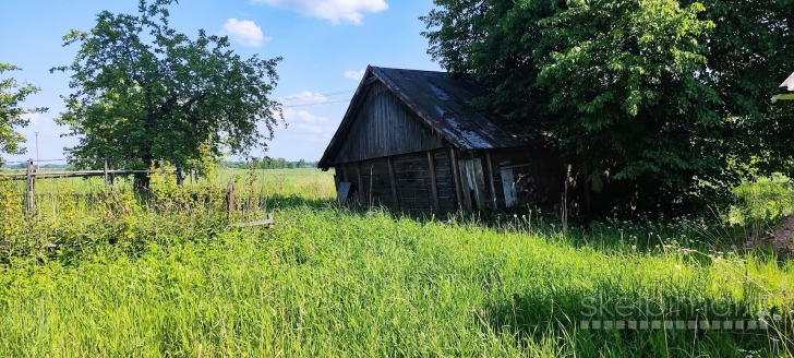 KUPIŠKIO R. SAV., BAJORŲ K., RĄSTINĖ SODYBA NR. 201