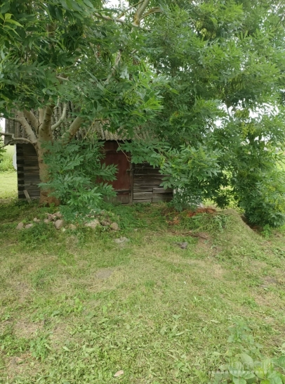 Mūrinis restauruojamas namas su 30 a sklypu ir ūkiniu pastatu,  Biržų r. 