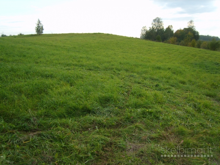 15 a. žemės sklypas Vilniaus r. sav. Avižienių sen. Pikutiškių k. Braškių g.