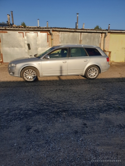 Audi a4 dalys