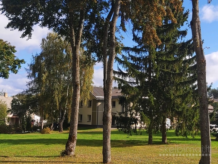 Molėtų m., Graužinių g., 1 kambario butas