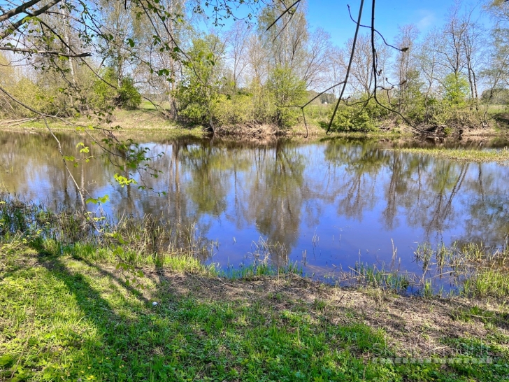 Namų valdai Paliuniškyje su upės pakrantė Nr. 635