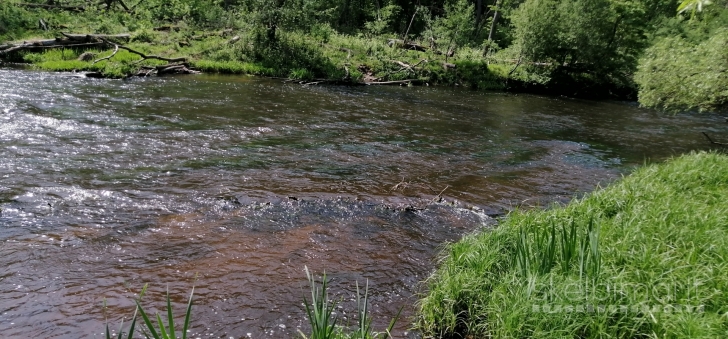     Sklypas su šlaitu į vaizdingą  Musės upę  !!!!!!!