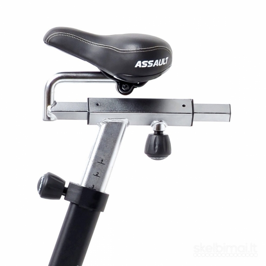 Assault Air Bike