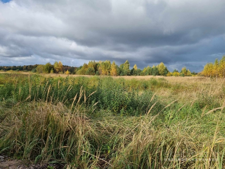 PARDUODAMI KOMERCINĖS PASKIRTIES ŽEMĖS SKLYPAI REIVYČIŲ K., MAŽEIKIŲ R.