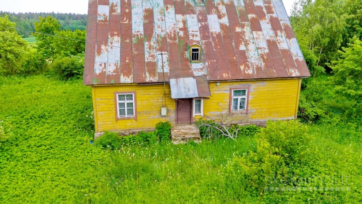 Rokiškio r. sav., Ragelių k., Malūno skg., rąstinė sodyba Nr. 372