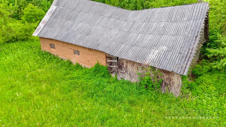 Rokiškio r. sav., Ragelių k., Malūno skg., rąstinė sodyba Nr. 372