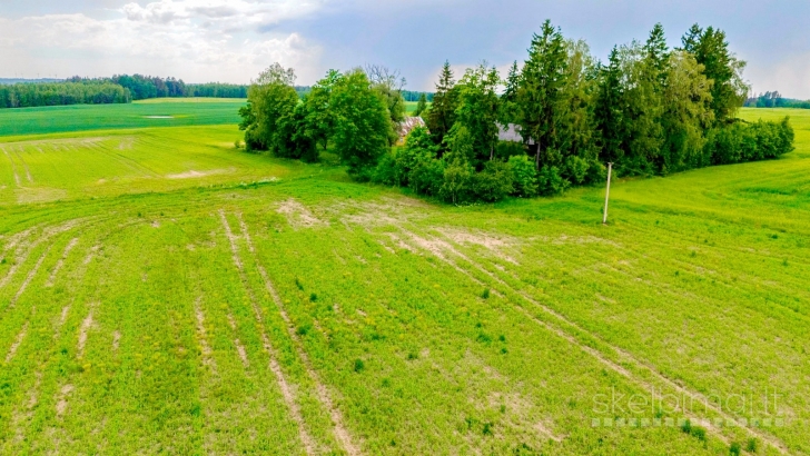 Rokiškio r. sav., Ragelių k., Malūno skg., rąstinė sodyba Nr. 372