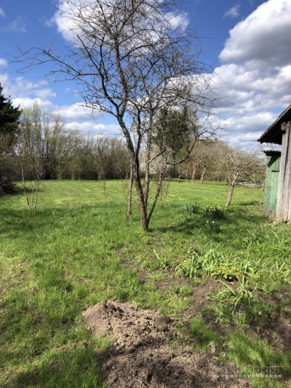 Pardauodmas Šiaulių r. sav., Raudėnų k., Vieversių g., rąstinis namas