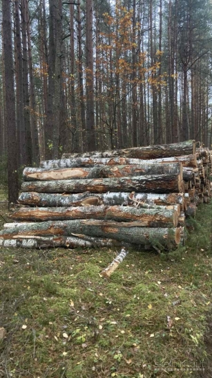 Malkos rąstais, kaladėmis, skaldytos