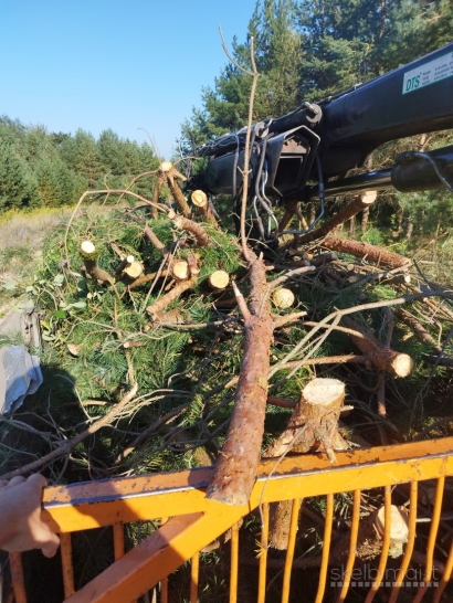 Transporto paslaugos, atliekų išvežimas, griovimo darbai