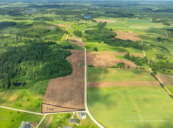 Perspektyvus 16a sklypas Vilniaus r. Maišiagalos sen. Gudelių Plytinės