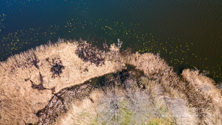 10 ha prie Degučio ežero su pakrante