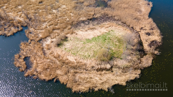 10 ha prie Degučio ežero su pakrante