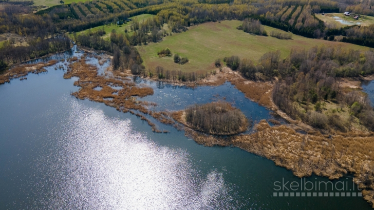 10 ha prie Degučio ežero su pakrante