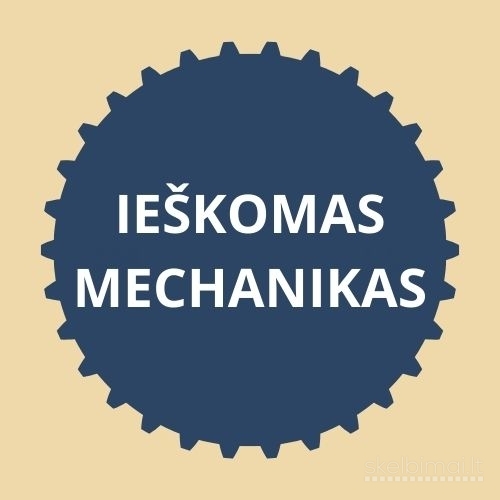 Ieškomas automechanikas