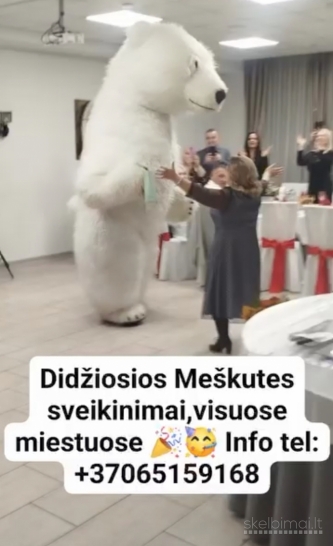 Didžioji Meškutė Neila 