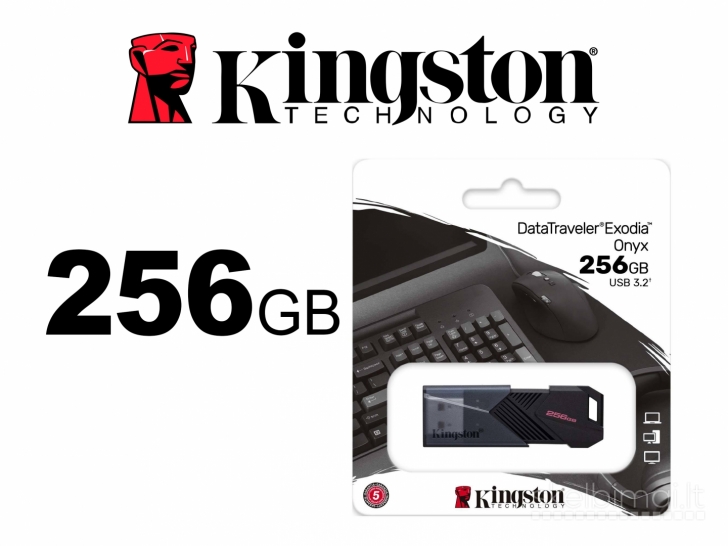 Kingston Usb 256 GB flash raktas atmintukas naujas