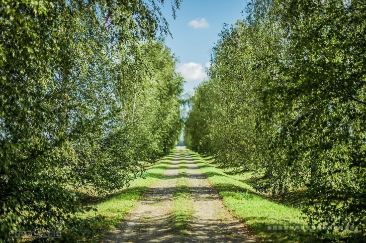 PARDUODAMA SODYBA VILKAVIŠKIO R, SARMAČINŲ K.