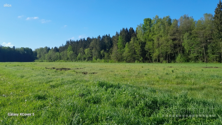 Parduodamas žemės ūkio paskirties žemės slypas