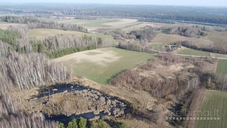 Sklypas Birštono sav., Siponių k.