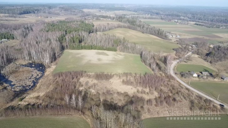 Sklypas Birštono sav., Siponių k.