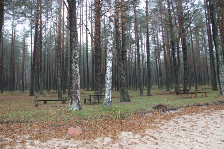 Prie Lavyso ež. parduodamas sklypas