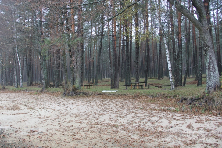 Prie Lavyso ež. parduodamas sklypas