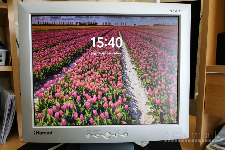 Monitorius HANSOL H530 15"
